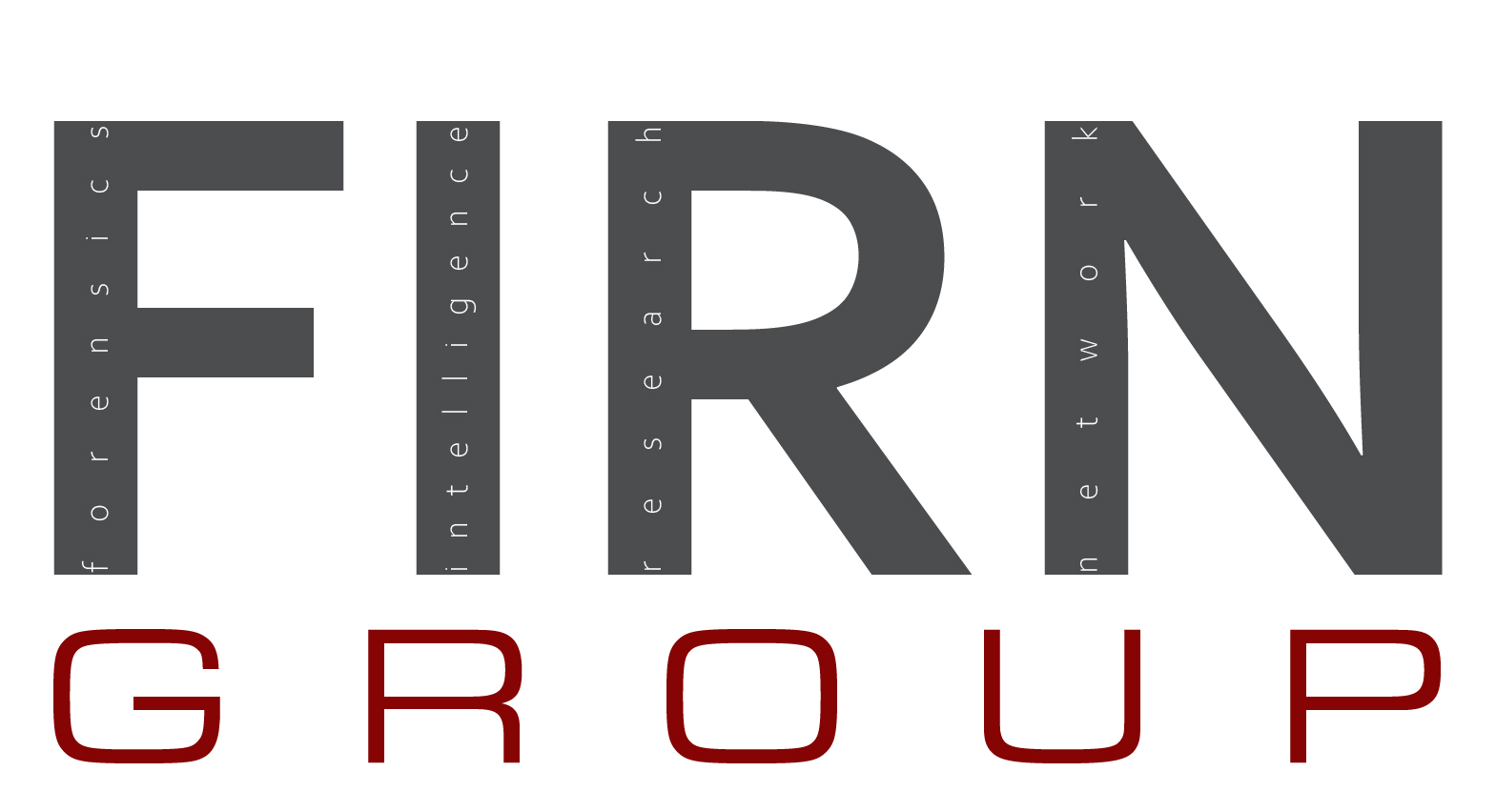 FIRN Group GmbH Logo